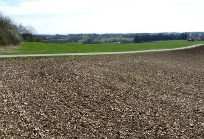 Albhochfläche bei Leibertingen-Kreenheinstetten Die Aufnahme zeigt einen sehr steinigen braunen Acker, der bis zum Mittelgrund reicht. Dahinter folgt eine leicht hügelige Grünlandschaft; von Waldstreifen durchzogen und teilweise besiedelt.