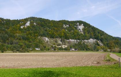 Donautal bei Beuron-Hausen im Tal Hinter teils grünen, teils abgeernteten Ackerflächen erhebt sich ein steiler, bewaldeter Höhenzug. Ein Schutthang unten rechts sowie graue Felstürme und -zacken unterbrechen die Bewaldung.