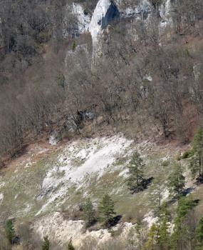 Junge Schutthalden im Donautal südwestlich von Hausen im Tal Unterhalb mächtiger grauer Felsen verläuft ein teils bewaldeter, teils kahler Schutthang. Am unteren Rand des Hanges ist eine Abbruchkante erkennbar.