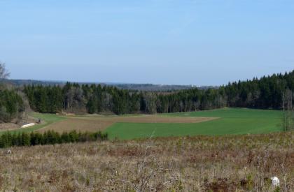 Karstwanne nördlich von Leibertingen-Kreenheinstetten, am Rand des Donautals Über dem Rand eines Feldes blickt man auf tiefer gelegene, unterschiedliche Ackerflächen. Ein nach rechts ansteigender Wald umgrenzt die Äcker. Im Hintergrund ist ein Höhenzug sowie eine Siedlung erkennbar.