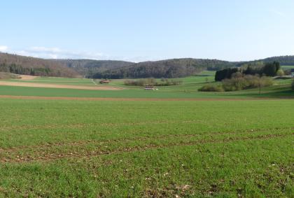 Talabschnitt der prärißzeitlichen Donau nördlich von Inzigkofen-Vilsingen Die Aufnahme zeigt eine weite, zu den Rändern hin ansteigende Nutzlandschaft mit Bauminseln rechts und bewaldeten Anhöhen im Hintergrund.