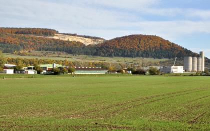 Blick über die Donauaue bei Geisingen zum Rand der Baaralb mit Steinbruch in der Wohlgeschichtete-Kalke-Formation Hinter einer ebenen, begrünten Ackerfläche und Industriebauten steigen grüne und braune Hänge sowie bewaldete Höhenzüge in Herbstfarben auf. In der Mitte ist über den Baumspitzen ein offener Steinbruch erkennbar.