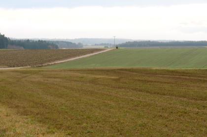 Reliefarme, flachwellige Albhochfläche südwestlich von Neuhausen ob Eck Das Bild zeigt unterschiedlich begrünte, leicht wellige Ackerböden, die bis zum Hintergrund reichen. Mehrere, hintereinander gestaffelte Waldstreifen bilden den Abschluss.