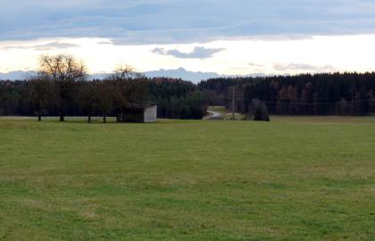 Blick vom Südrand der Hegaualb bei Liptingen zu den Alpen mit dem Säntis in der Mitte Das Bild zeigt eine ausgedehnte, ebene Grünlandfläche, begrenzt von Waldstreifen. Im fernen Hintergrund sind die Spitzen einer Bergkette erkennbar.