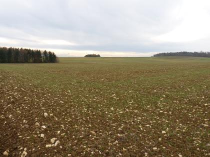 Hochfläche der Hegaualb bei Emmingen-Liptingen Das Bild zeigt einen weiten, steinigen Acker, der bis zum Mittelgrund reicht. Dahinter folgen Waldstreifen links und rechts sowie weitere, leicht nach oben gewölbte Nutzflächen.