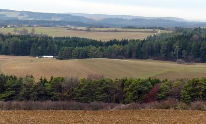 Juranagelfluh-Landschaft auf der Hegaualb zwischen Hattingen und Emmingen Über einen steinreichen Acker im Vordergrund und einem angrenzenden Waldstreifen blickt man auf eine wellige, von Wald durchzogene Nutzlandschaft, die sich bis zum Hintergrund und fernen Höhenzügen zieht.