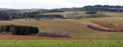 Juranagelfluh-Landschaft der Hegaualb zwischen Hattingen und Emmingen Das Bild zeigt im Mittelgrund nach rechts abfallende Ackerflächen. Zum Vorder- und Hintergrund steigen weitere Nutzflächen auf; begrenzt von Waldstreifen und bewaldeten Kuppen.