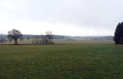 Blick ins „Ried“ östlich von Neuhausen ob Eck Das Bild zeigt eine weite, flache Wiesenlandschaft mit begrenzenden Waldflächen im Hintergrund. Rechts und zum Vordergrund hin ist das Grün deutlich dunkler als links und hinten.