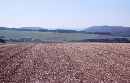 Kiesbedeckte Ackerflächen auf der Hegaualb bei Riedöschingen Über einen erhöht liegenden, sehr steinigen Acker geht der Blick auf eine flache, nur leicht nach links ansteigende Nutzlandschaft. Begrenzende Waldstreifen sowie bewaldete Höhenrücken mittig und rechts bilden den Hintergrund.