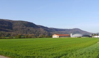 Blick vom Klettgauer Tal bei Klettgau-Geißlingen zum nordwestlichen Stufenrand des Kleinen Randens Über flache begrünte Äcker blickt man auf nach links ansteigende, bewaldete Höhenzüge. Rechts sind Industriebauten erkennbar.