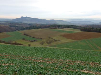 Blick von der Juranagelfluh-Landschaft bei Blumberg-Kommingen in den Hegau, zum Hohenstoffeln Über einem erhöht liegenden, steinigen, aber begrünten Acker blickt man auf ein Mosail aus unterschiedlich gefärbten Ackerflächen, die teilweise von dünnen Heckenstreifen begrenzt werden. Im Hintergrund sind weite bewaldete Hochflächen erkennbar.