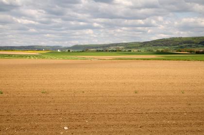 Altmoränenlandschaft am Fuß der Schwäbischen Alb bei Riedlingen Das Bild zeigt eine weite hellbraune Ackerfläche, mit horizontal verlaufenden Furchen. Daran anschließend folgen weitere flache Äcker, die zum Teil begrünt sind, sowie im Hintergrund nach rechts ansteigende, bewaldete Bergrücken.