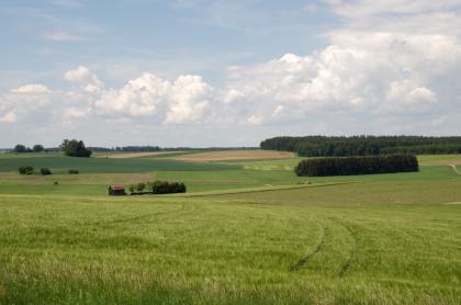 Typischer Landschaftsaspekt im nördlichen Altmoränenhügelland bei Uttenweiler Unter einem mit Quellwolken bedeckten Himmel breitet sich eine flachhügelige Landschaft mit Wiesen, Äckern und Waldstreifen aus. Die Neigungsrichtung der Hügel verläuft dabei horizontal und wechselt sich ab.