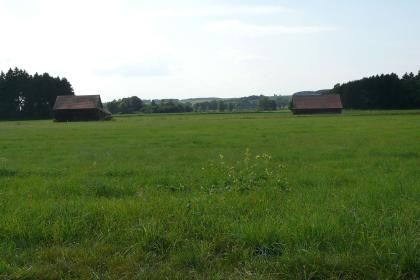 Das Rißtal zwischen Hochdorf und Ingoldingen (Lkr. Biberach) Blick auf eine dunkelgrüne Wiese mit zwei Scheunen im Hintergrund, die jeweils vor Waldrändern links und rechts stehen. In der Bildmitte ist ein flacher, teilweise bewaldeter Hügel in der Ferne erkennbar.