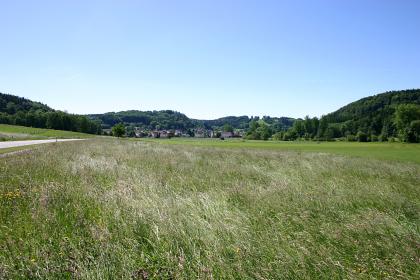 Das Umlachtal bei Fischbach (Lkr. Biberach) Blick über eine schöne Wildwiese auf dahinter folgendes, flaches Grünland. In der Bildmitte bewaldete Hügel und Berge, davor eine kleinere Siedlung.