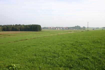 Blick über den nordöstlichen Teil des Wurzacher Rieds auf Dietmanns (Lkr. Ravensburg) Unter einem blassen Himmel dehnt sich eine weite Wiesenlandschaft aus. Links im Mittelgrund ist die Spitze einer Waldzunge zu sehen. Davor liegen Heideflächen. Im dunstigen Hintergrund ist eine Siedlung erkennbar.