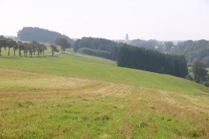 Blick über das Tal des Sendener Bachs bei Hauerz (Lkr. Ravensburg) Das Bild zeigt eine nach rechts abfallende grüne Hügellandschaft mit Dürrespuren im Vordergrund. Im Hintergrund, nach drei ebenfalls schräg verlaufenden Waldstreifen, ist die Spitze eines Kirchturmes zu sehen. Rechts davon steigen bewaldete Hügel auf.