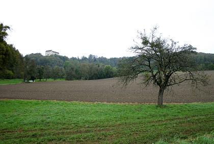 Molassehänge unterhalb von Schloss Heiligenberg Blick auf eine nach rechts und zum Hintergrund hin ansteigende Landschaft mit Wiesen, Äckern und Bäumen. Links, auf einem bewaldeten Hügel, ist ein großes Gebäude erkennbar.