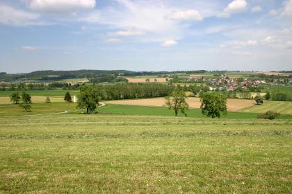 Das Becken von Hasenweiler Blick auf eine ebene Landschaft mit Wiesen, Äckern und Bäumen. Im Hintergrund flache, teilweise bewaldete Hügel sowie eine Siedlung.