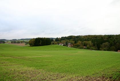 Grundmoränenlandschaft bei der Fenkenmühle (Gem. Horgenzell) Blick auf eine hügelige Landschaft mit Wiesen und Äckern im Vordergrund, Bäumen und Wäldern im Hintergrund.