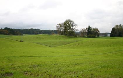 Eiszerfallslandschaft östlich von Bad Wurzach-Arnach Blick auf eine wellenförmig von links nach rechts verlaufende grüne Wiesenlandschaft mit Bäumen und Waldstreifen im Hintergrund.