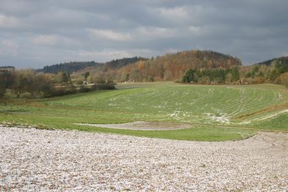 Drumlin-Landschaft bei Konstanz-Wollmatingen Blick auf einen von einer dünnen Schneedecke eingehüllten Acker, der sich zur Bildmitte hin absenkt und dann wieder aufsteigt. Dahinter ziehen sich bewaldete Höhen.