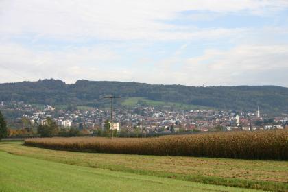 Der Gehrenberg bei Markdorf Blick über Wiesen und bepflanzte Äcker auf einen Berg, dessen Hänge sowohl dicht besiedelt als auch bewaldet sind.