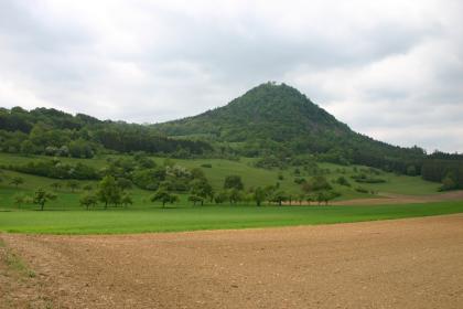 Der Hohenhewen von Südosten Blick über Äcker und Wiesen mit vereinzelten Bäumen auf einen bewaldeten Vulkankegel.
