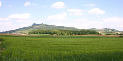 Der Hohenstoffeln von Westen Blick über hochstehende grüne Felder, Wiesen und Äcker auf einen länglichen, bewaldeten Berg mit zwei Höckern. Die Hangzonen links und rechts des Berges sind teils bewaldet, teils in Ackerflächen unterteilt.