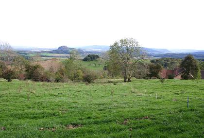 Blick über den Hohentwiel zum Untersee Über hochgelegene Wiesen und Bäume blickt man auf eine hügelige Ebene mit fernen bewaldeten Bergen rechts und einem einzelnen Bergkegel weiter links. Dahinter ein weißlich glänzender See mit Besiedelung.