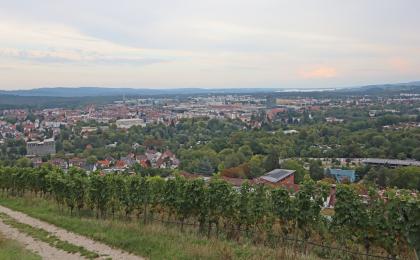 Blick vom Olgaberg südlich des Hohentwiels auf Singen mit dem Bodanrück und dem Bodensee am Horizont Blick von erhöhtem Standort über Rebstöcke im Vordergrund auf eine größere Siedlung. Im Hintergrund ist ein flacher bewaldeter Höhenzug sowie der Ausläufer eines Sees zu erkennen.
