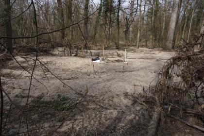 Größere Sandablagerung im NSG Taubergießen nordwestlich von Rheinhausen-Oberhausen nach einem Hochwasser im Februar 2021 Blick auf eine größere Sandablagerung nahe eines von Wald umgebenen Flusses. Der Sandboden ist teils mit Ästen und Zweigen bedeckt. Im Hintergrund wurde ein Bodenprofil geöffnet.
