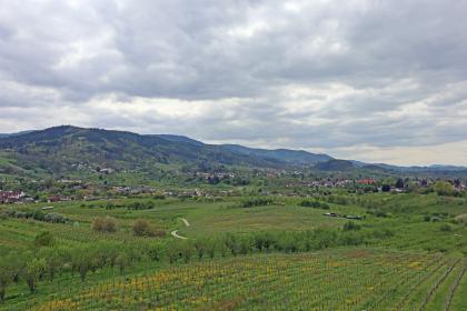 Blick vom Carl-Netter-Turm nach Süden über mit Löss und Lösslehm bedecktes Hügelland und den Anstieg zum Grundgebirgs-Schwarzwald Weiter Blick über eine hügelige, im Hintergrund auch bergige Landschaft. Zwischen Rebanlagen und Obstbaumkulturen im Vordergrund und den bewaldeten, nach links hin ansteigenden Bergen dahinter liegt eine Ortschaft.