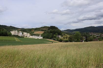 Blick vom nördlichen Fuß des Ölbergs zum Steinbruch am Steinberg und nach Bollschweil Im linken Teil dieses Bildes liegt ein Steinbruch mit Förderanlagen. Davor breiten sich bepflanzte Felder aus. Rechts liegt eine Ortschaft auf hügeligem und waldigem Gelände.