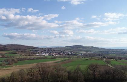 Blick über das Kandertal bei Rümmingen nach Süden zum Tüllinger Berg Blick über eine weite, wellige bis hügelige Landschaft mit Wiesen, Feldern und Bäumen. Im Hintergrund erhebt sich ein teilweise bewaldeter Berg. Davor und rechts davon liegen Siedlungen.