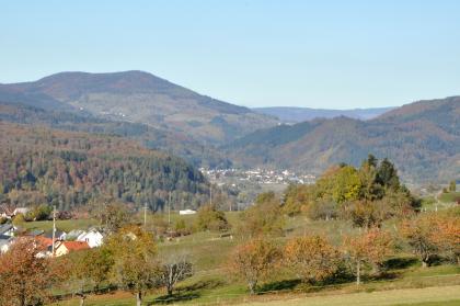 Blick von den höchsten Lagen des Dinkelbergs beim Hohen Flum (536 m ü. NHN) nach Nordnordosten zum Südschwarzwald und ins Wiesental bei Hausen Blick über einen nach links abfallenden Hang mit Obstbäumen auf im Hintergrund aufsteigende, bewaldete Berge. Im Tal vor den Bäumen ist eine Siedlung zu erkennen.
