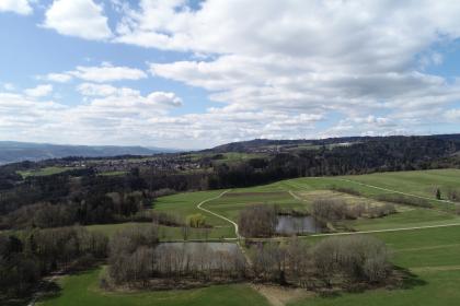 Südabdachung des Südschwarzwalds bei Bad Säckingen-Harpolingen – Blickrichtung Westsüdwest Das Bild zeigt eine nach rechts ansteigende Wiesen- und Ackerlandschaft. Bauminseln gruppieren sich um zwei Fischteiche im Vordergrund. Von links zieht sich ein breiter Waldstreifen rechts den Hang hinauf. Dahinter ist eine hochgelegene Siedlung sichtbar.