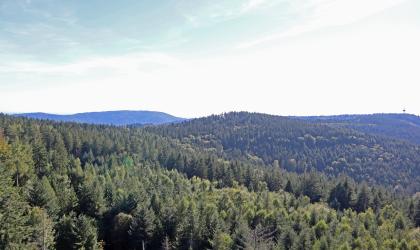 Blick aus großer Höhe über bewaldete Berge. In der Bildmitte ein leicht gerundeter Berg, dahinter links ein länglicher, flacher Rücken. Im Vordergrund fällt ein Waldhang nach rechts hin ab.