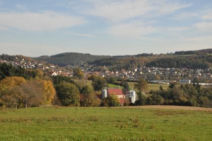 Blick nach Ostsüdosten über das Elztal bei Dallau Über eine hochgelegene Grünfläche im Vordergrund geht der Blick zu einer bewaldeten und besiedelten Hanglandschaft, die sich bis zum Hintergrund erstreckt.