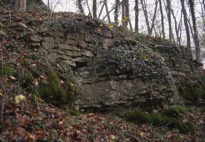 Ehemalige Rebterrasse am Südhang des Buchenbachtals westsüdwestlich von Burgstall an der Murr Blick auf eine dunkelgraue, von Pflanzen, Moos und totem Laub umgebene Steinmauer mit balkonartigem Vorbau. Oberhalb der Mauer wachsen Bäume.