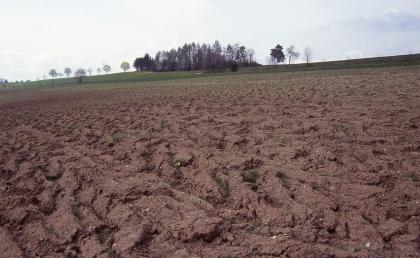 Übergangsbereich vom Unteren Muschelkalk zum Oberen Buntsandstein östlich von Loßburg mit grauer Bodenoberfläche im oberen Hangbereich (Pararendzina) und roten Böden aus Buntsandsteinmaterial am Unterhang Ein grobscholliger Ackerboden zeigt im Vordergrund eine rötlich braune Färbung, im Hintergrund aber eine eher graue. Ein sanft ansteigendes grünes Hügelband sowie eine Waldinsel begrenzen den Horizont.