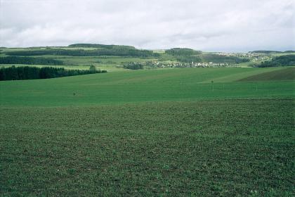 Blick über die Gäulandschaft südöstlich von Schopfloch; hinten rechts Horb-Dettlingen vor Horb-Bittelbronn Das Bild zeigt ausgedehnte, leicht wellige begrünte Ackerflächen, an die sich im Hintergrund ein teils bewaldeter, teils besiedelter Höhenzug anschließt.