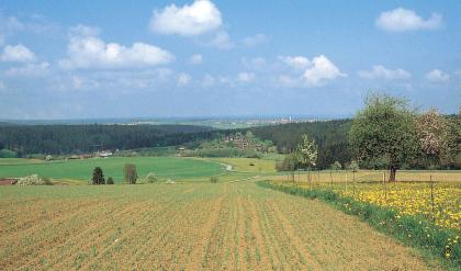Übergang vom Buntsandstein-Schwarzwald zu den Oberen Gäuen bei Waldachtal An einen zur Bildmitte hin abfallenden Acker grenzt rechts eine Blumenwiese. Links folgt eine tiefer liegende ovale Grünfläche sowie ein größerer Waldstreifen, der sich rechts fortsetzt. Im Hintergrund ist eine Ebene mit Besiedlung erkennbar.