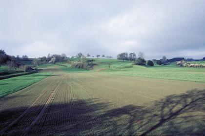 Mündungsbereich schmaler Tälchen in die Talsohle des Eutinger Grabens, nordwestlich von Horb-Bildechingen Bei tiefstehender Sonne blickt man über flache, bepflanzte Äcker, ehe im Mittelgrund das Gelände buckelförmig auf- und absteigt. Auf den Hügeln und Senken verteilen sich Baumgruppen und Gebüsch.