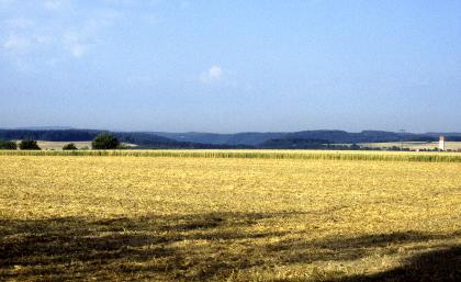 Die Gäuflächen bei Eutingen-Weitingen sind großflächig von Löss- und Lösslehm bedeckt Das Bild zeigt sehr flache, bewirtschaftete Ackerflächen, die bis zum Mittelgrund reichen. Links und rechts dahinter sind weitere Nutzflächen erkennbar; eingerahmt von bewaldeten Höhenzügen.