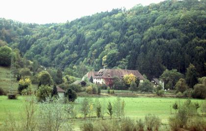 Neckartal östlich von Horb am Neckar (Egelstal) Hinter einer von Bäumen durchzogenen Grünlandfläche schiebt sich links ein Hügel ins Bild. Rechts davon steht ein größeres Gebäude. Hinter allem ragt eine bewaldete Anhöhe empor.