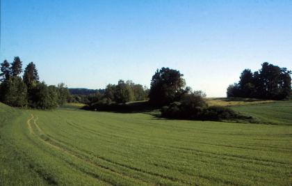 Trockental im Heckengäu südlich von Horb-Mühringen Das Bild zeigt eine mit niedrigem Wintergetreide bewachsene Ackerfläche in einer flachen Mulde, die rechts von Bäumen und Buschwerk begrenzt wird und danach leicht ansteigt. Links und im Hintergrund zeigen sich weitere Bäume sowie Wald.