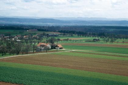Blick vom Aussichtsturm bei Sulz-Dürrenmettstetten nach Südosten über die Gäuflächen im Oberen Muschelkalk und das Glatt- und Neckartal hinweg nach Vöhringen (Hintergrund, Bildmitte) Von erhöhtem Standpunkt aus sieht man auf in Längsrichtung verlaufende, sich abwechselnde grüne und braune Ackerstreifen sowie links mehrere Gehöfte. Den Hintergrund bilden große Waldflächen, eine besiedelte Ebene sowie ferne Höhenzüge.