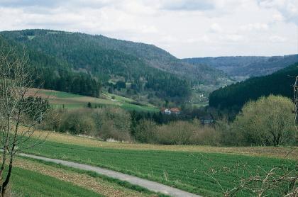 Blick von einem mit Muschelkalk-Hangschutt bedeckten Talhang oberhalb von Dornhan-Bettenhausen ins Glatttal nach Osten. Der Blick geht über gewellte grüne Äcker und Baumstreifen zu einem nach rechts absinkenden, von bewaldeten Hängen eingeschlossenen Tal.