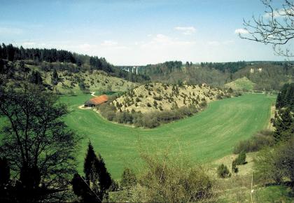 Blick von Süden auf die ehemalige Neckarschlinge bei der Neckarburg, nördlich von Rottweil Eine U-förmige grüne Fläche umschließt einen teils bewachsenen, teils kahlen Hügelrücken. Links verläuft bis zur Mitte ein ähnlich karger Hügel; hier ist die Kuppe jedoch bewaldet. Im Hintergrund erheben sich weitere Hügel, auch sie bewaldet.